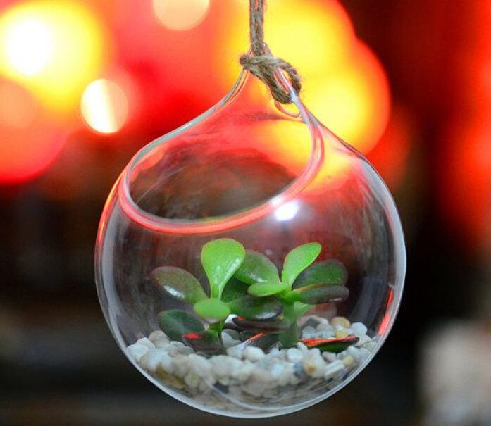 Set of 3 Big Opening Mouth Round Glass Terrariums,fish Tank Wall Decor