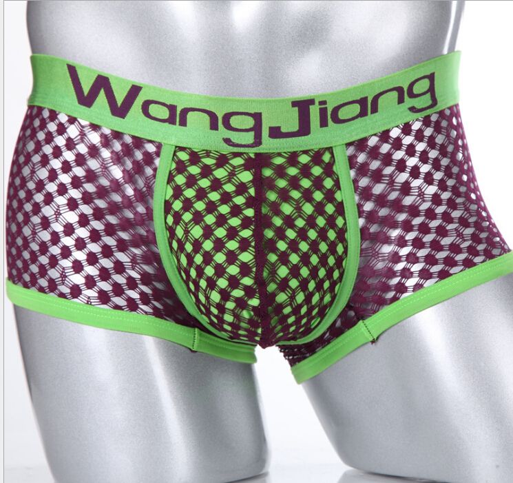 mens sheer mesh boxers