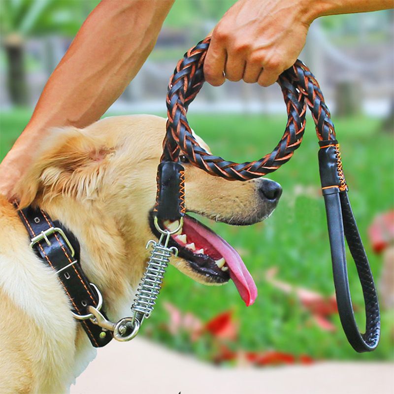 2020 Genuine Leather Bride Pet Dogs Leashes Spring Rope Adjustable