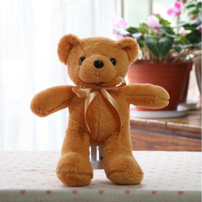 korean teddy