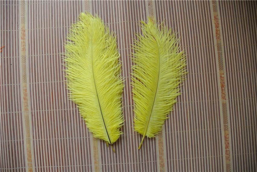 Acheter En Gros 8 10 Pouces Plume D Autruche Jaune Pour Centre De