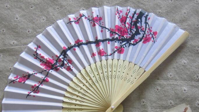 beautiful hand fans