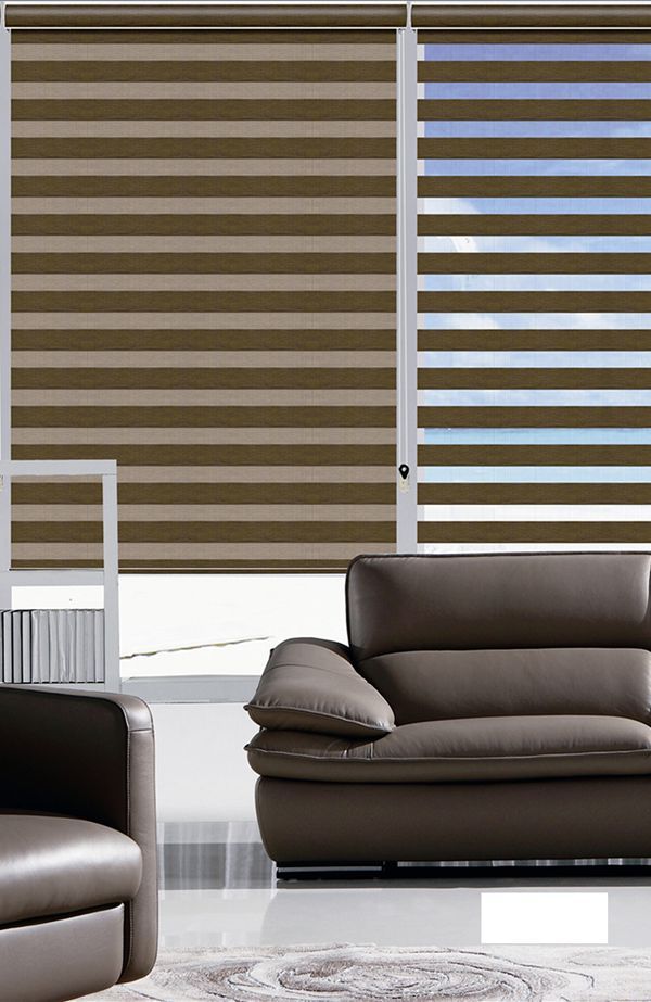 Customized Size Double Layer Translucent Roller Zebra Blinds in Dark