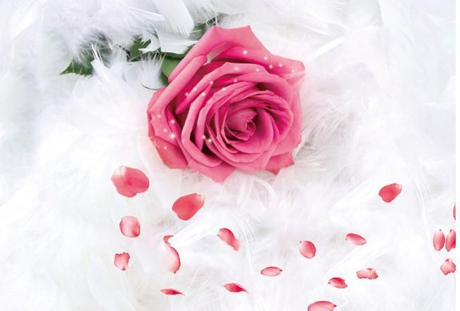 Papel De Parede Pink Roses 3d Backdrop Window Non Woven Wallpaper