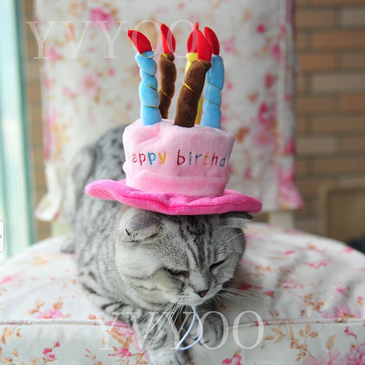 Acheter Caps Pour Chiens Pet Chat Chien Anniversaire Chapeaux Chapeau Avec Gateau Bougies Conception Danniversaire Costume De Soiree Chapeau Accessoire Marchandises Pour Chiens De 3 63 Du A Fr Dhgate Com Acheter Caps Pour Chiens Pet Chat Chien Anniversaire Chapeaux Chapeau Avec Gateau Bougies Conception Danniversaire Costume De Soiree Chapeau Accessoire Marchandises Pour Chiens De 3 63 Du A Fr Dhgate Com