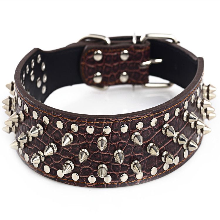 large leather collar