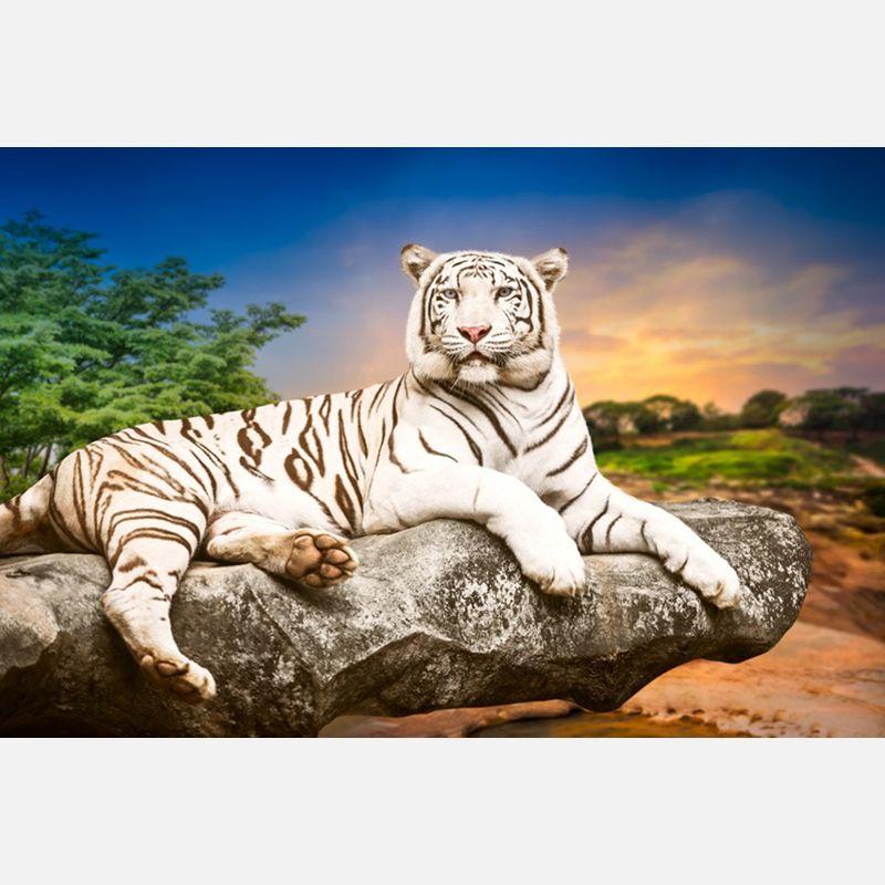 2019 The White Tiger DIY Diamond Painting 5D Diamond Mosaic Cross
