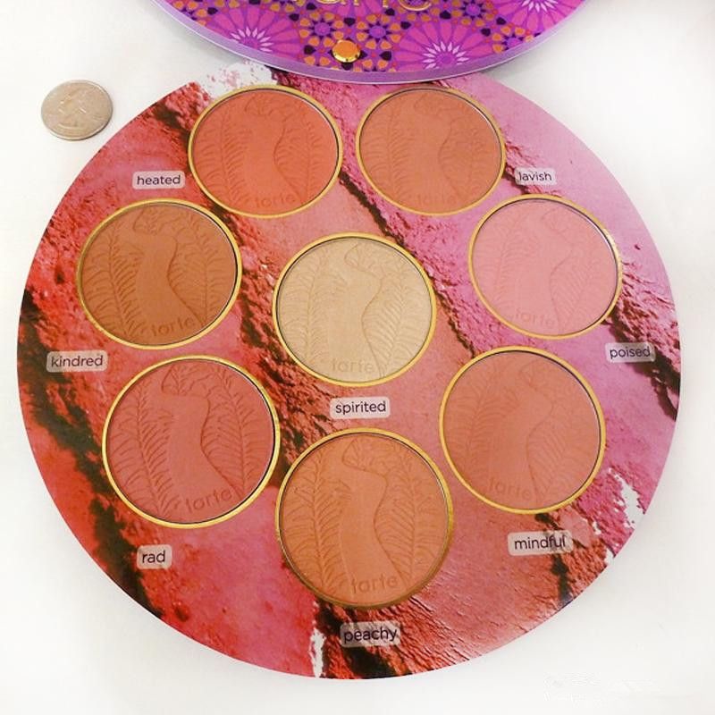tarte blush book palette tarte blush book palette