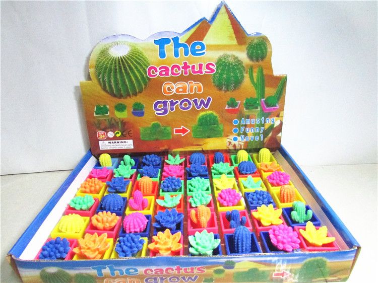 cactus learning toy