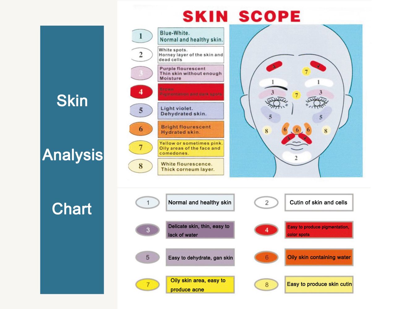 Elitzia Etd1029 Laptop Computer Type Uva Ultraviolet Beauty Cold Light Skin Analyzer Skin Care Analysis Device Analyzer From Elitzia 338 08 Dhgate Com
