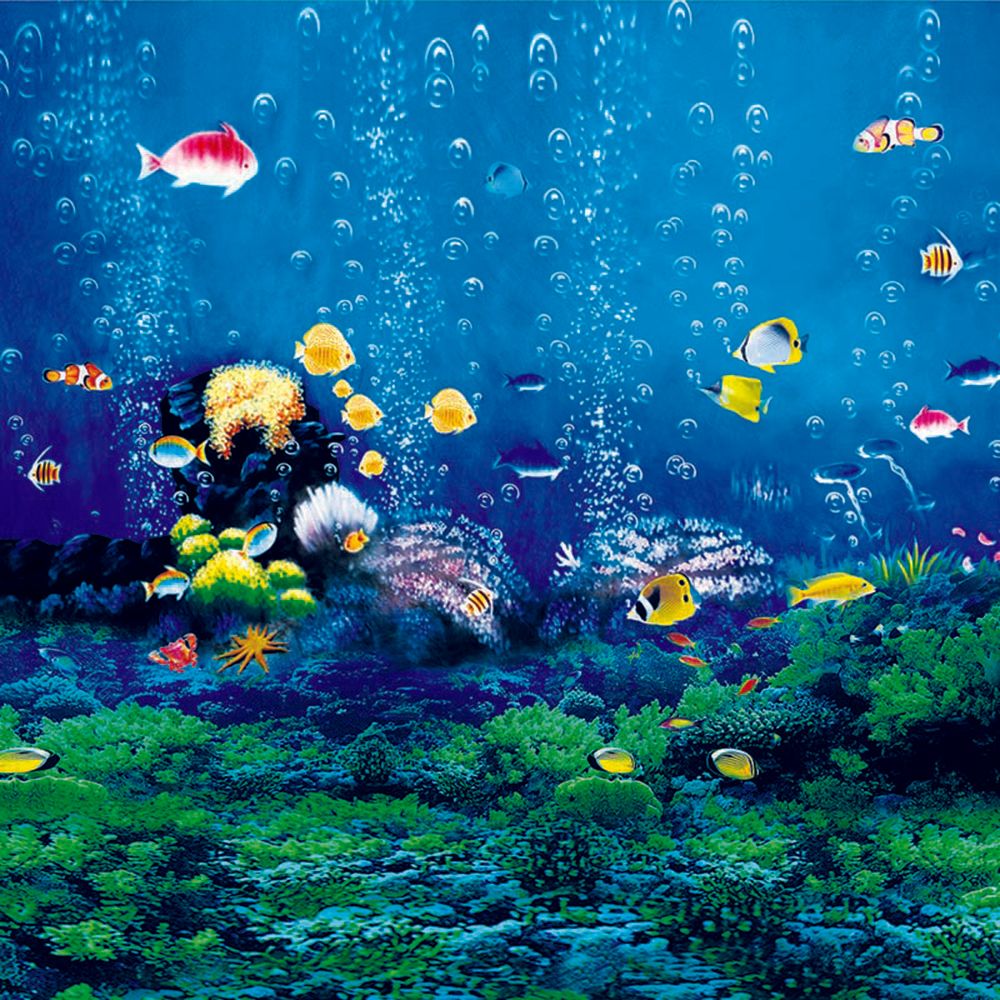 tropical fish shop 2 moving liquid solve