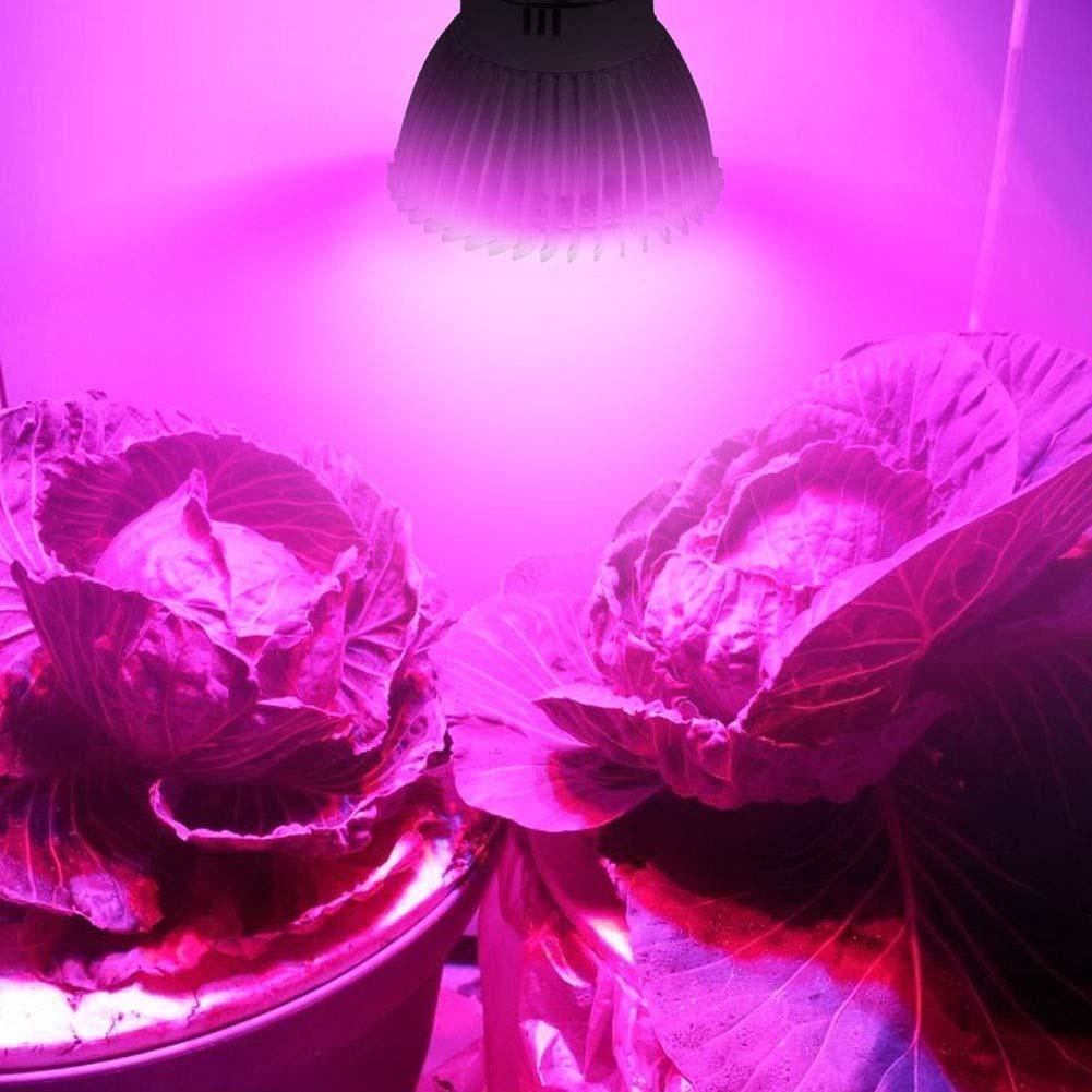 [Imagen: led-plant-grow-light-28w-efficient-full-spectrum.jpg]