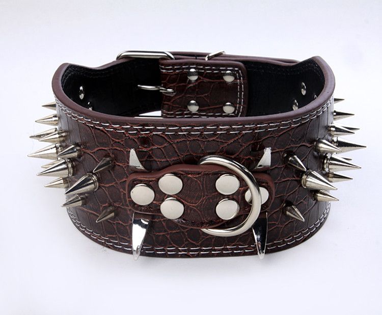 3 inch wide dog collars pitbull