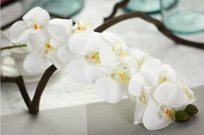 REAL TOUCH ORCHIDS 72cm Artificial Flowers Simulation Princess Butterfly Orchid Phalaenopsis for Wedding Flower rubber coating PF13