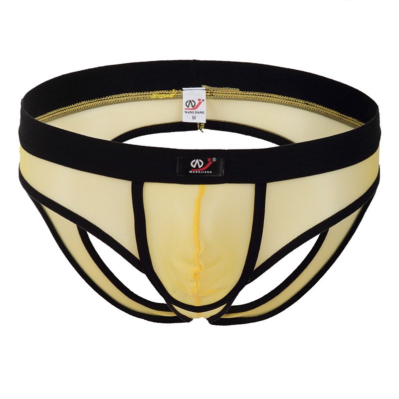 Net bikini mens Mens