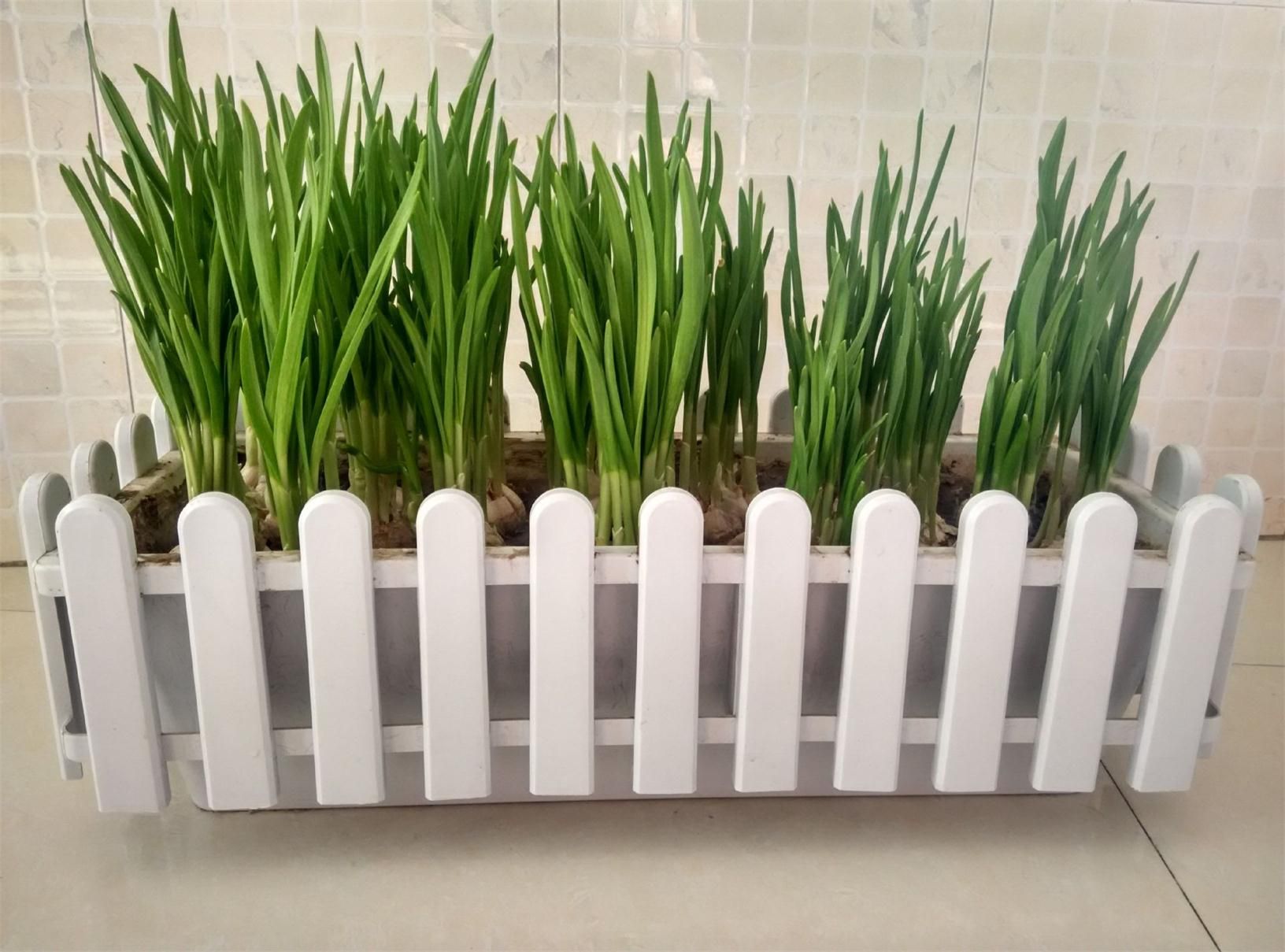 balcony garden flower pots rectangular planters fence flowerpot long