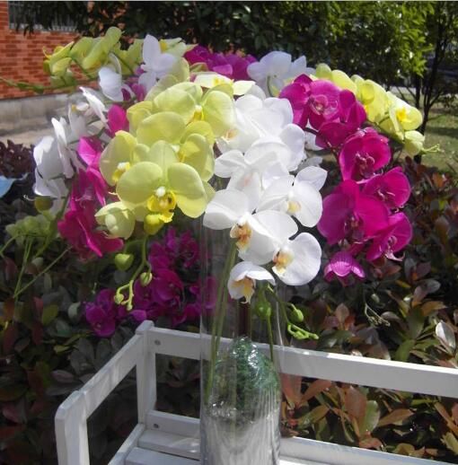 The Banyan Pavilion At R F Orchids Weddings Wedding Venues