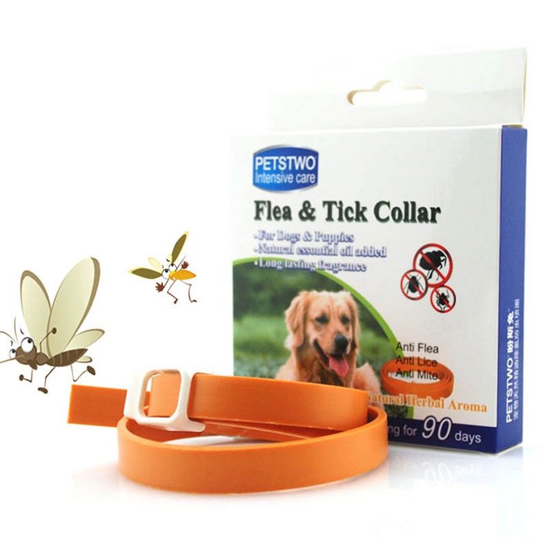 Type Of Flea And Tick Collars For Dogs Type Of Flea And Tick Collars For Dogs