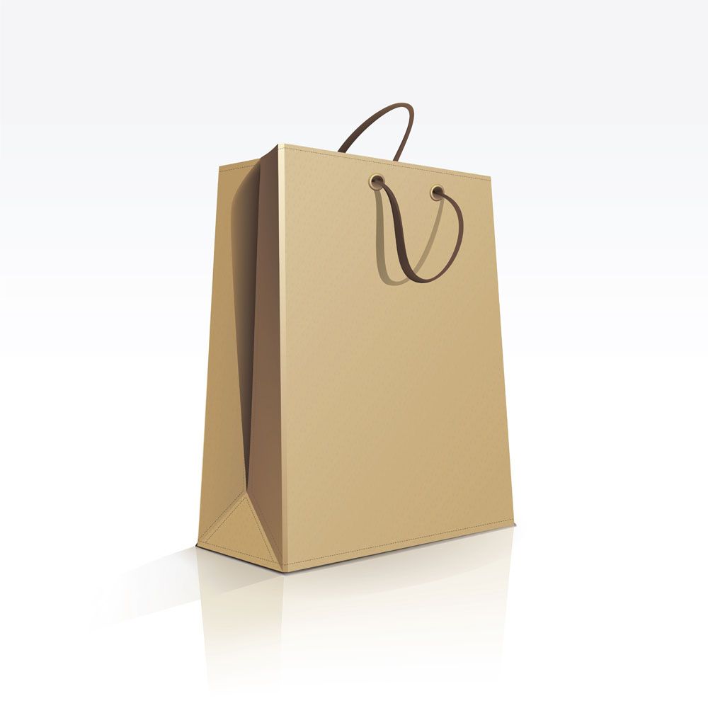 Shopping Paper Bags With Logo | SEMA Data Co-op