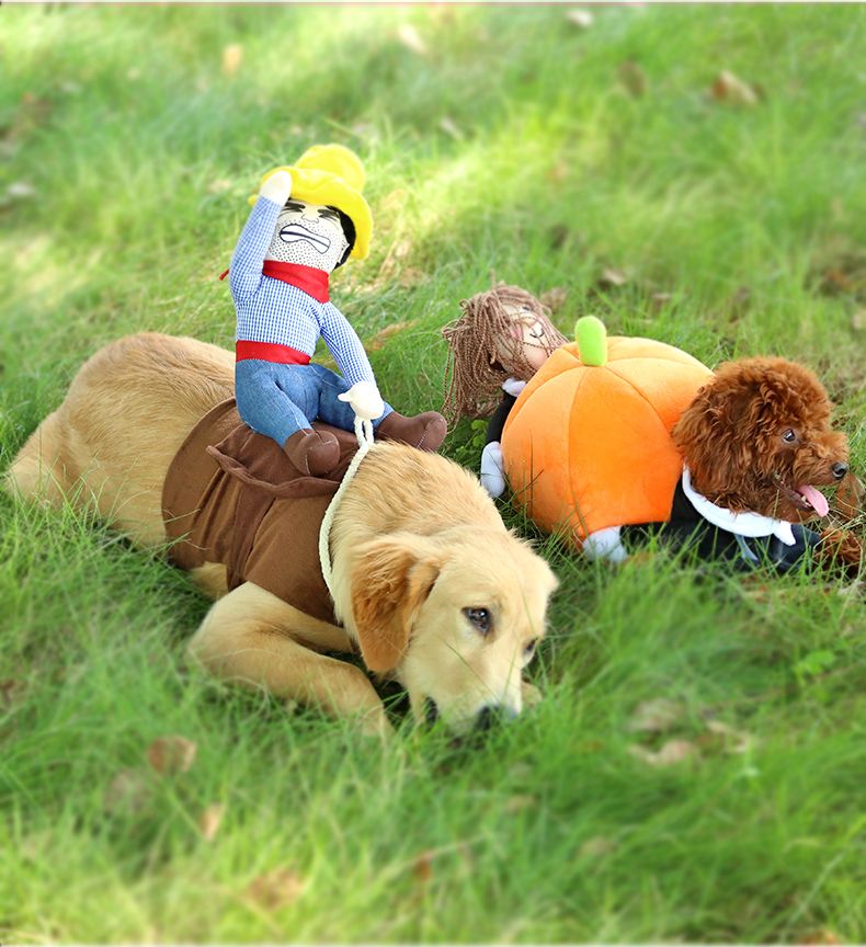 best halloween dog costume pumpkin dog clothes novel pumpkin pet coat fleece small dog super cute costume funny pet clothes under 1562 dhgatecom