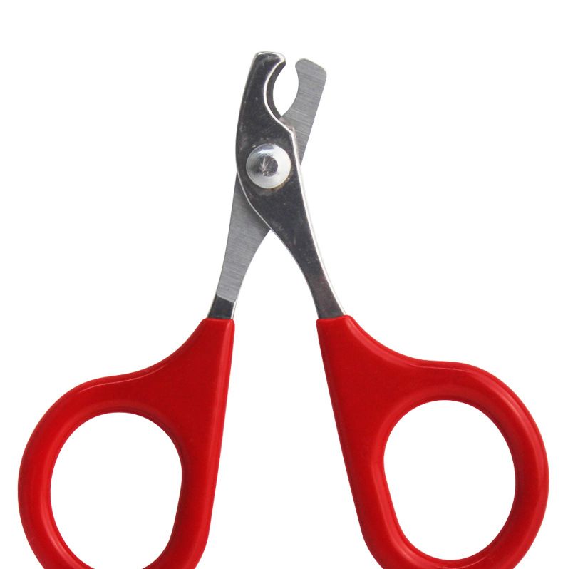 2021 Magic Cat Claw Clipper Features Stainless Steel Blades For Cats