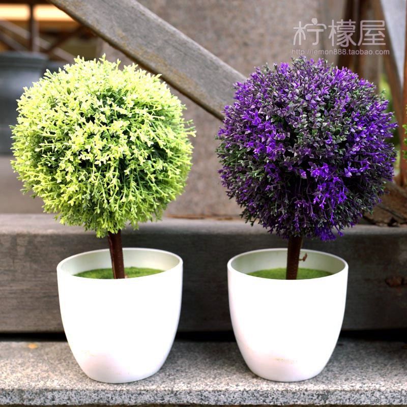 2019 Small  Potted Plants  Indoor  Decoration Home Furnishing 