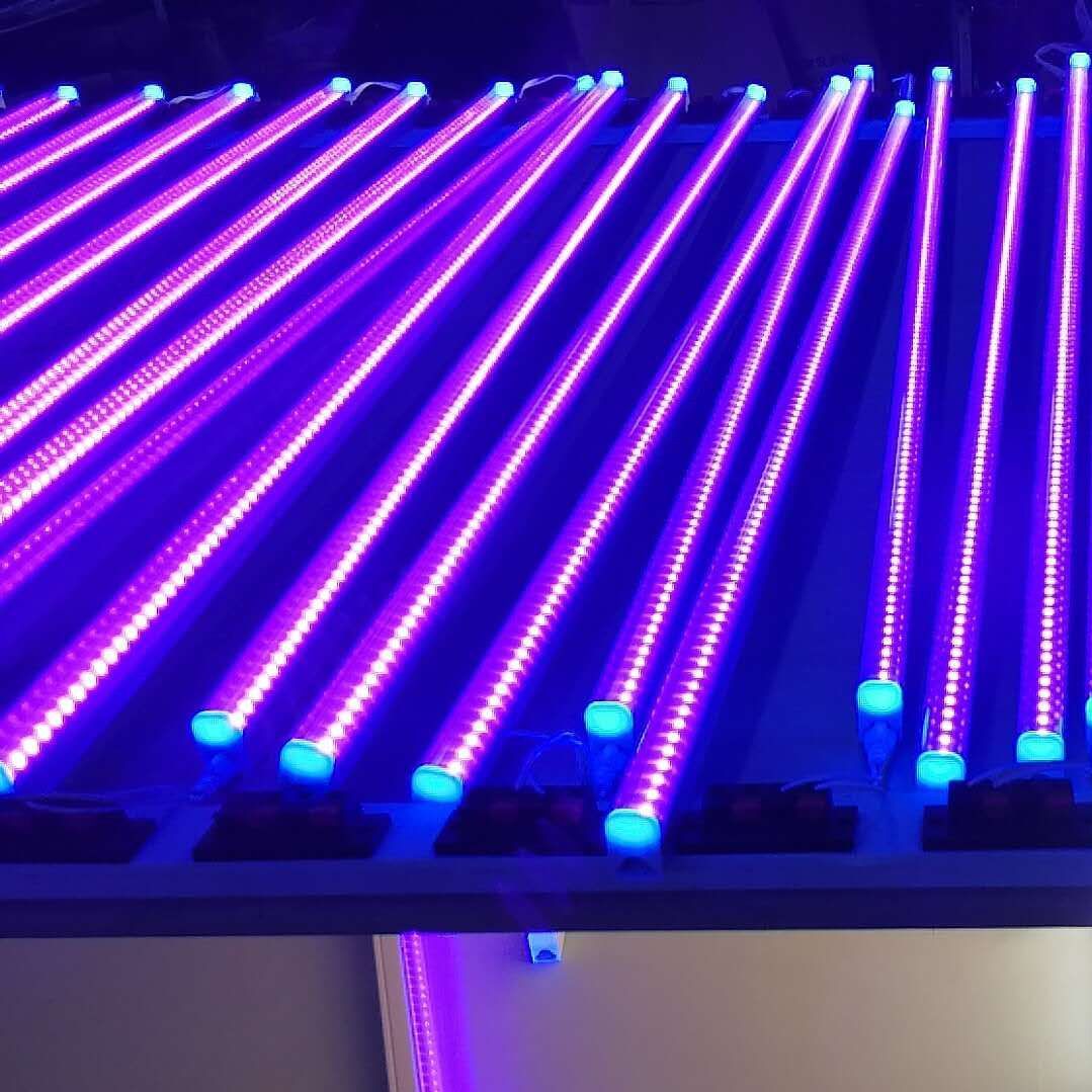 T8 G13 Led Uv 395 400nm 365nm 5ft 4ft 1ft 6 24w Ac100 240v Tube Lights ...