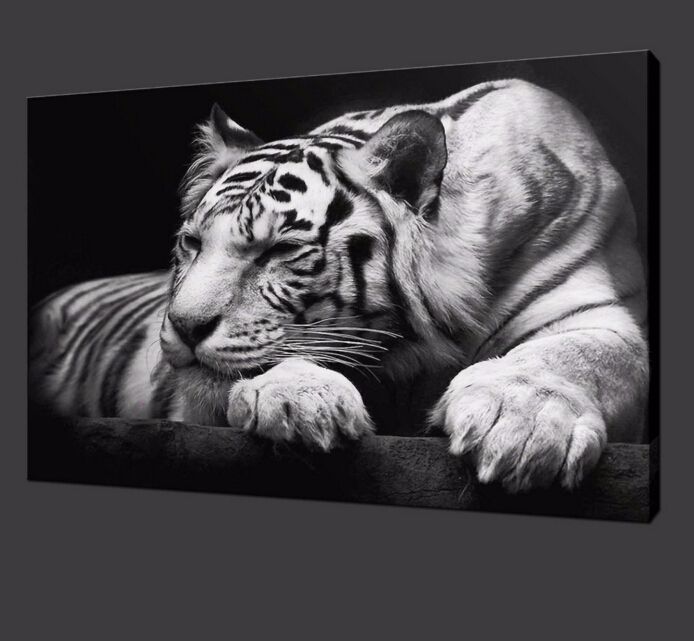 2021 Modern Tiger Wall Art HD Painting On Canvas Single Animal Prints Pictures Decor For Living
