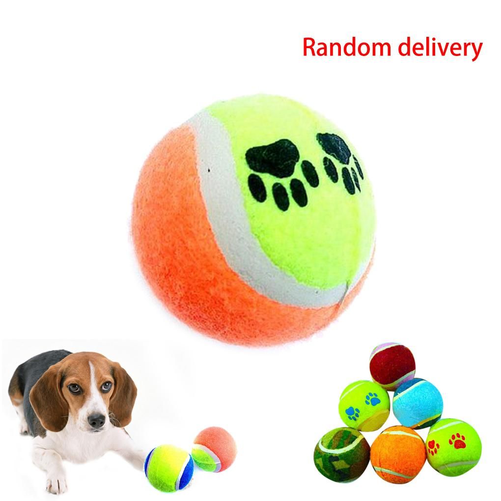 Pet Dog Chew Toys Trainning Playing Cotton Tennis Toys for Dogs ... | Dog Chew Toys That Last
Pet Dog Chew Toys Trainning Playing Cotton Tennis Toys for Dogs ... | Dog Chew Toys That Last