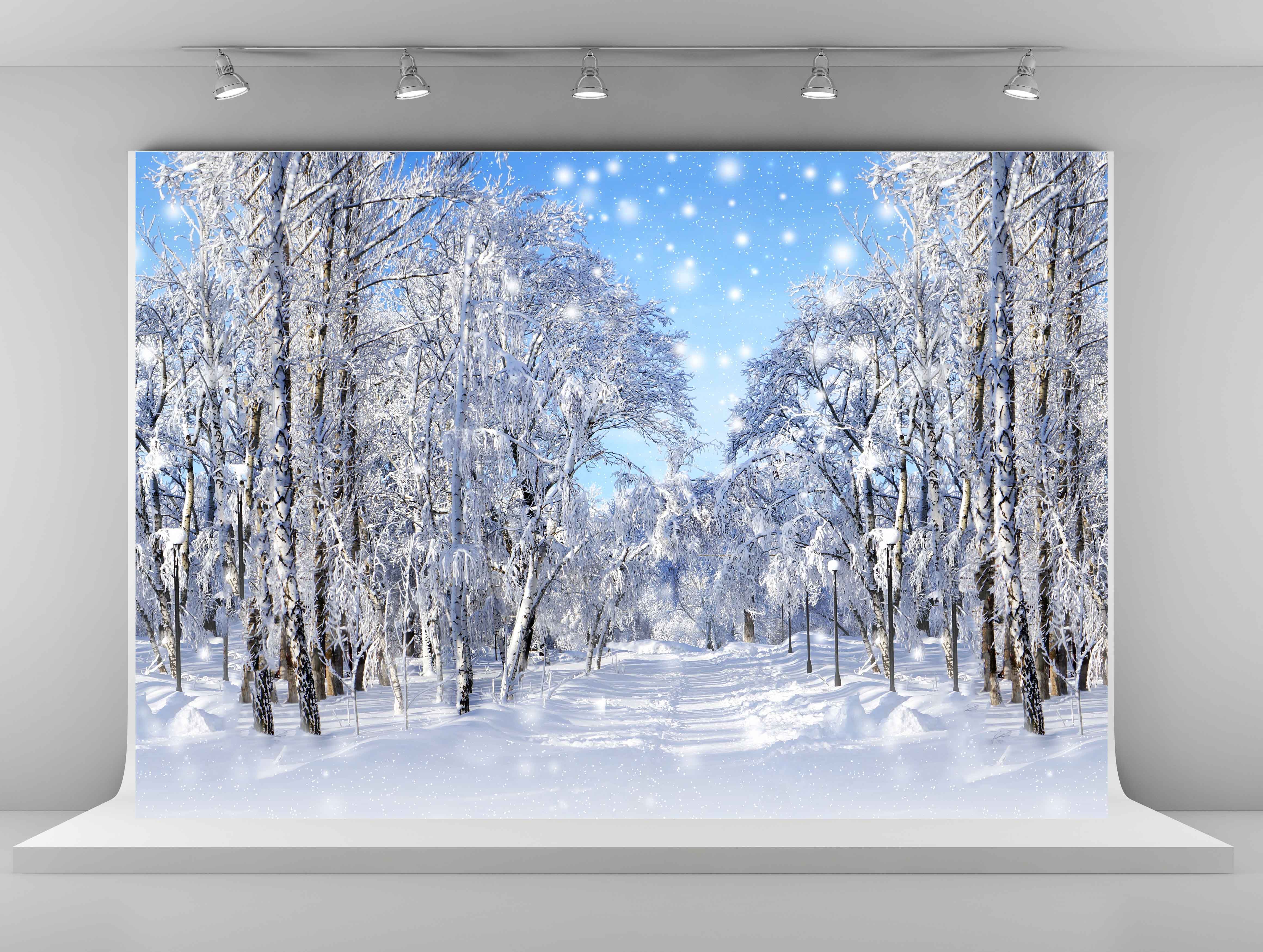 winter photography backdrops frozen snow backgrounds for photo