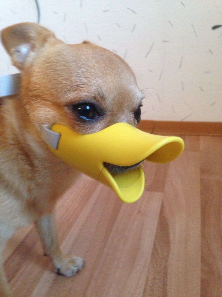 2019 D22 Brand New Colorful Adjustable Silicone Dog Muzzle Prevent Dog