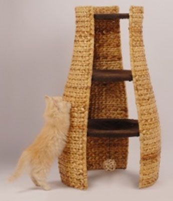 banana leaf cat tree