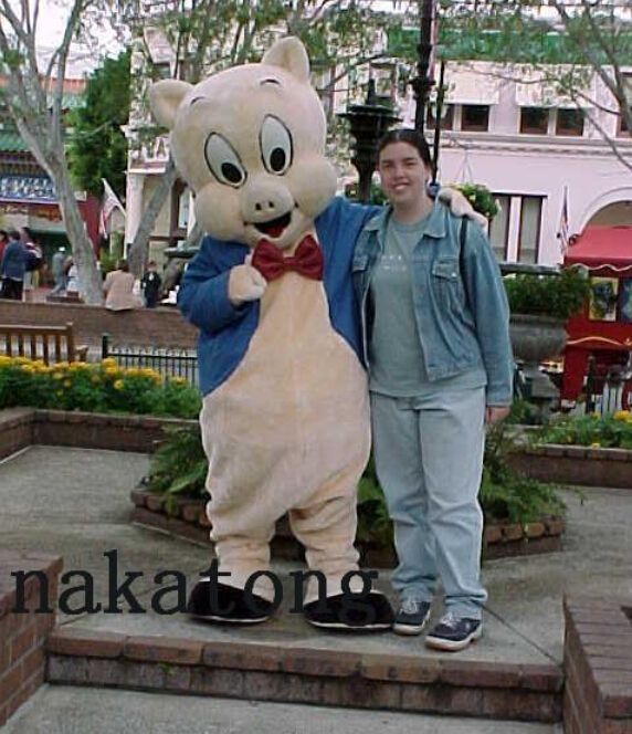 porky pig mascot costume for halloween christmas party costume character outfit fancy dress eagle mascot costumes for sale rabbit mascot costumes from - Porky Pig Christmas porky pig mascot costume for halloween christmas party costume character outfit fancy dress eagle mascot costumes for sale rabbit mascot costumes from - Porky Pig Christmas