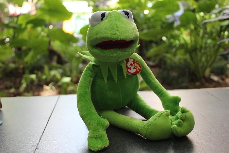 Disney Kermit Susam Sokak Kermit Kurbaga Dolmasi Pelus Oyuncak Yeni 18 Sesame Street Kermit Frogsesame Street Plush Toys Aliexpress