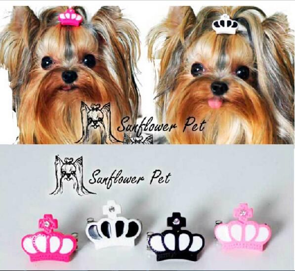 2018 new pet accessories resin crown clip dog bows dog grooming hair