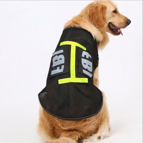 Dog Days What S With The Clothes Dog Days What S With The Clothes