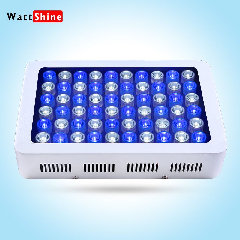 led rhre aquarium awesome