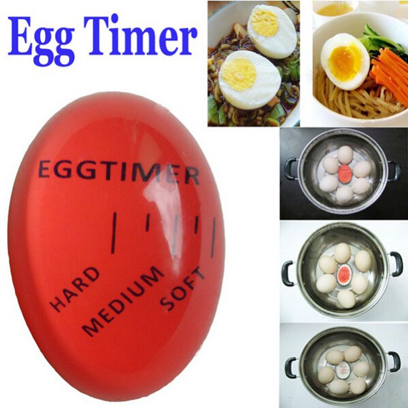 2019 kitchen supplies egg