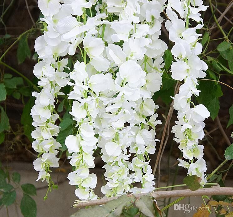 white wisteria bridal boutique