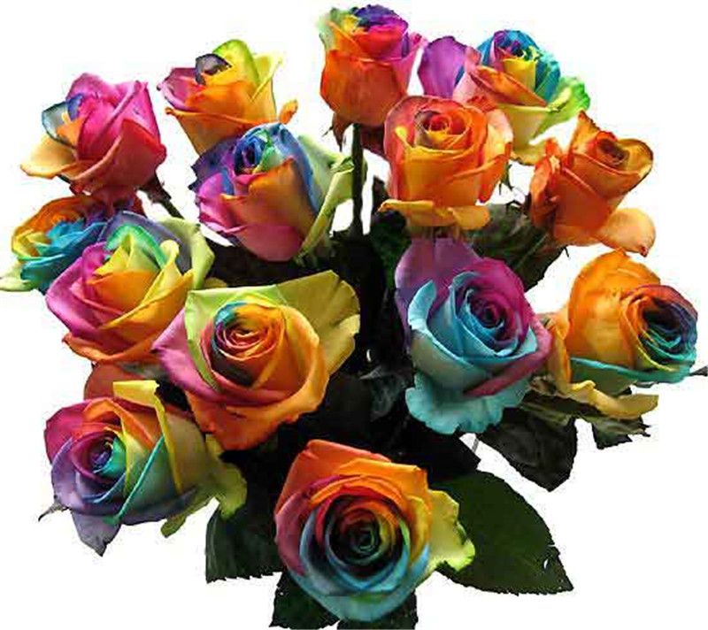 2020 Sale Rainbow Rose Seeds <em>100 Seeds Package</em> Rainbow