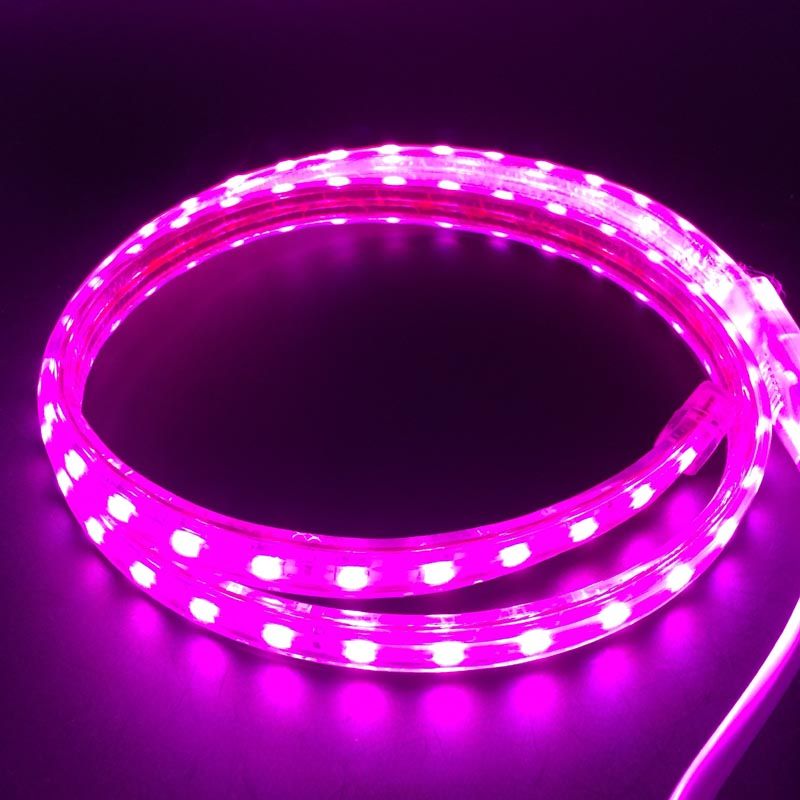 50m 220v High Voltage Waterproof Smd5050 Led Light Strips Rgb 50m 220v High Voltage Waterproof Smd5050 Led Light Strips Rgb Power Supply Dhl Outdoor Battery Powered Strip Lights From Marchh