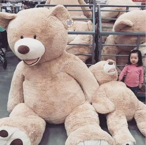 2019 2016 wholesale 160cm