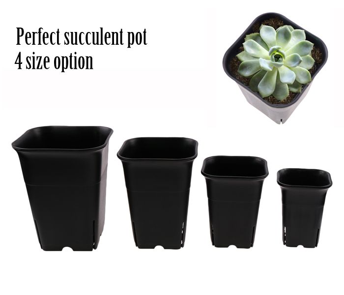 Square Nursery Pots Uk