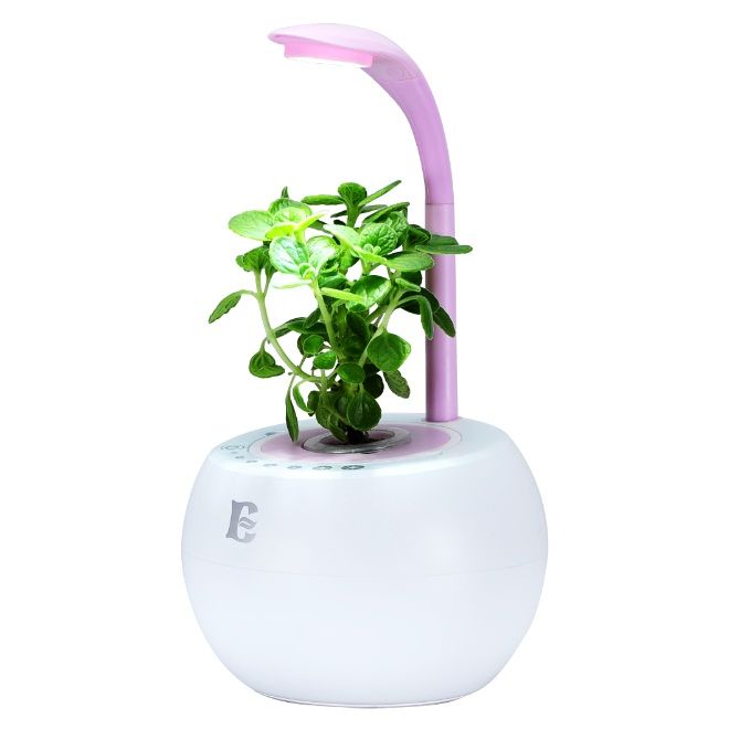 2019 2018 DIY Planting Led Hydroponics Plant Desk Lamp