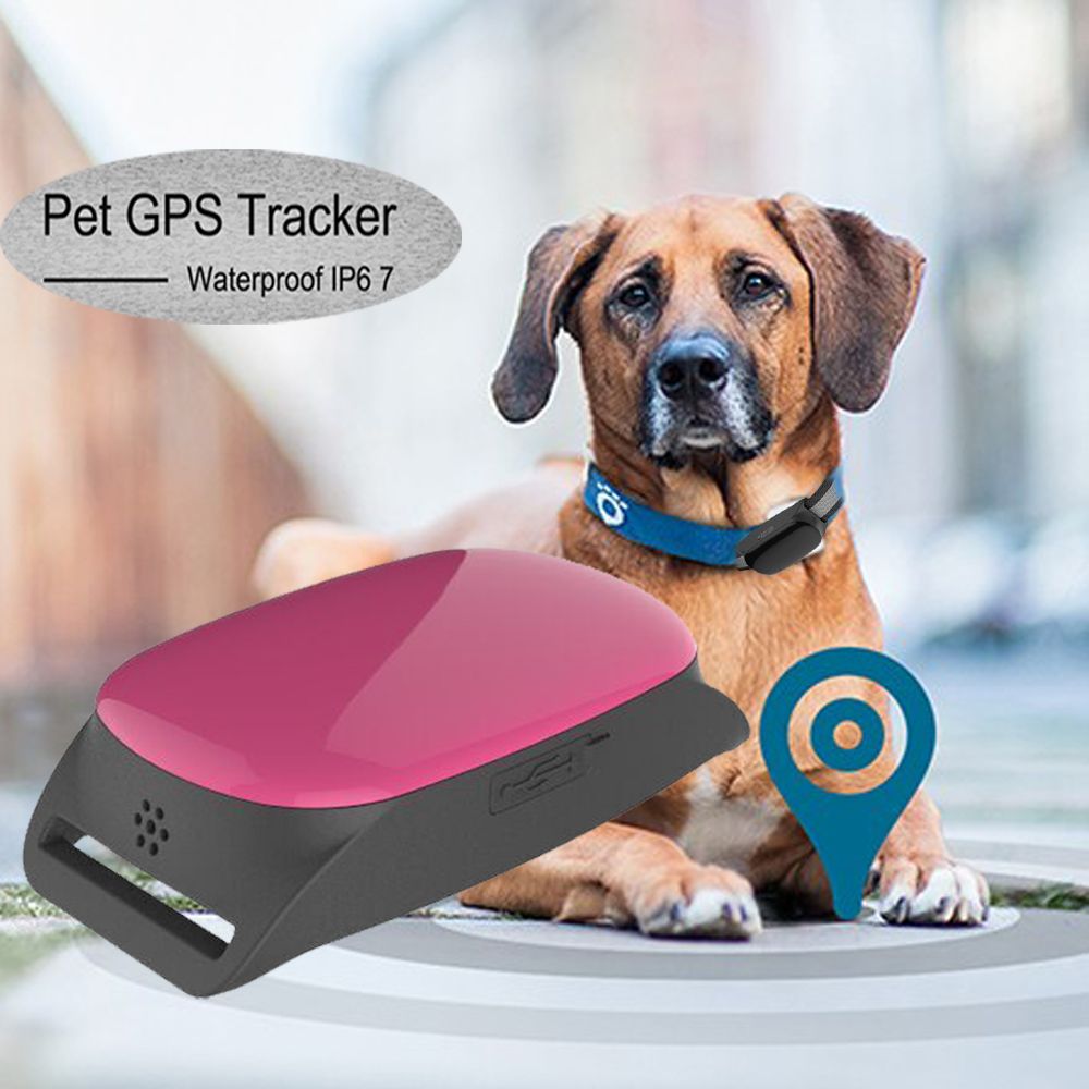 2020 Mini Dog GPS Tracking Device For GSM GPRS GPS System From Co