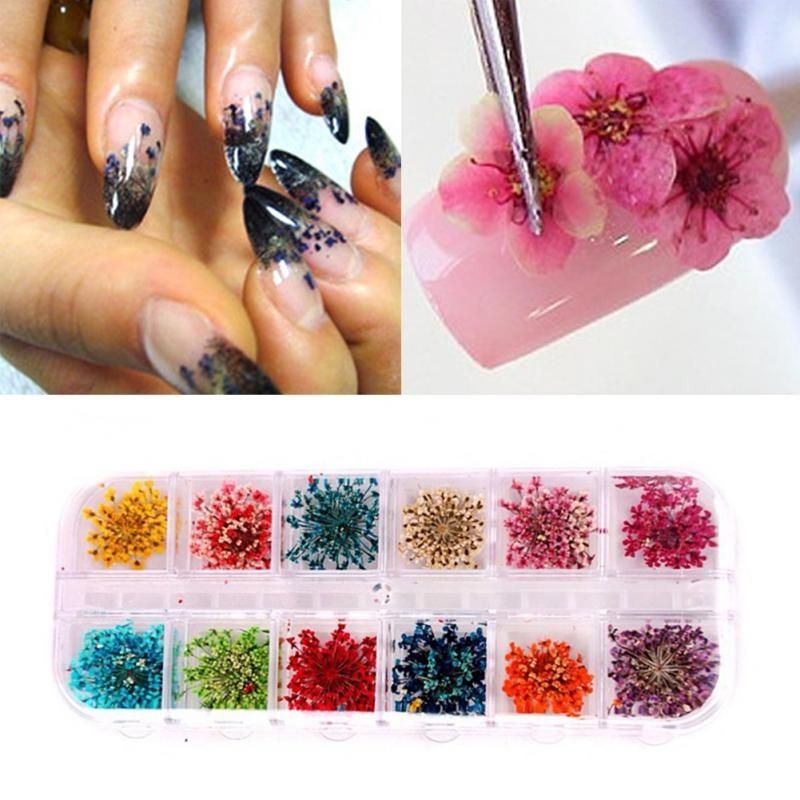 Real Nail Dried Flowers Nail Art Decoration DIY Tips With Case Small