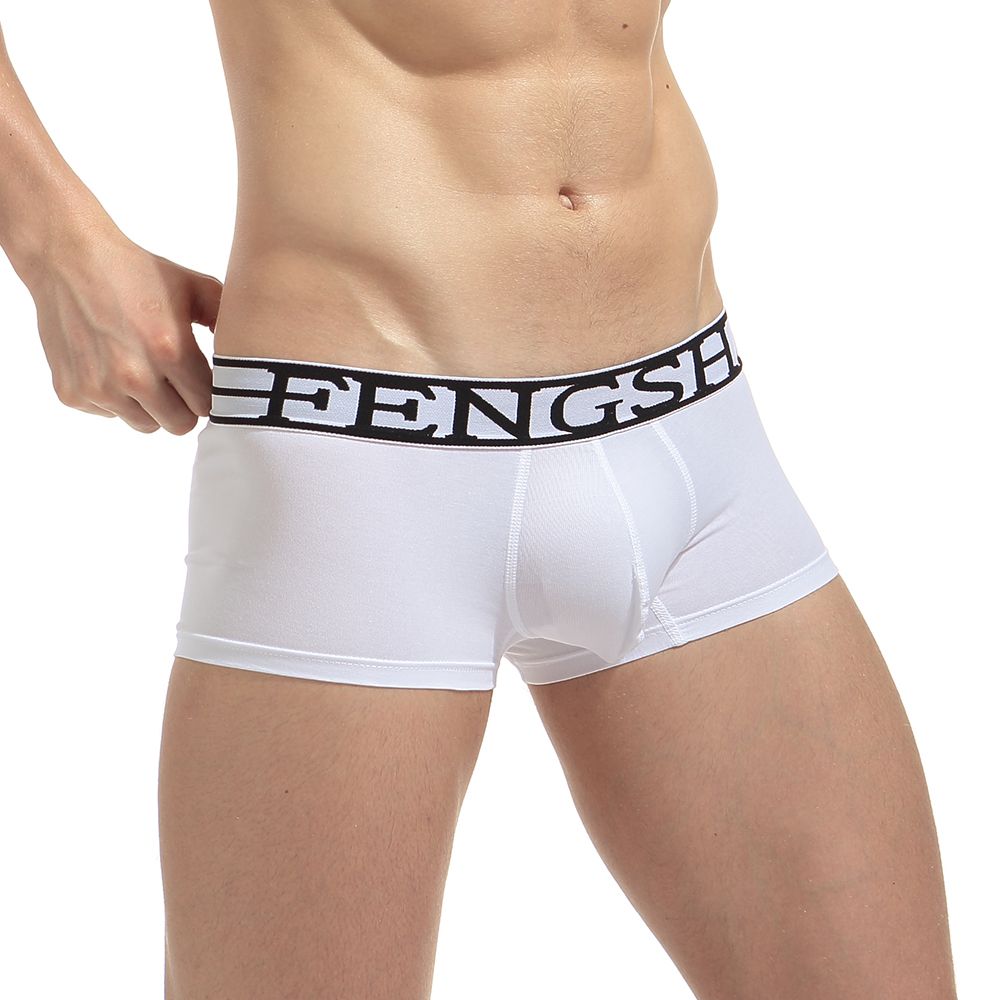 2020 2017 Brand Mens Underwear Boxers Fashion Mens Panties Sexy Cotton