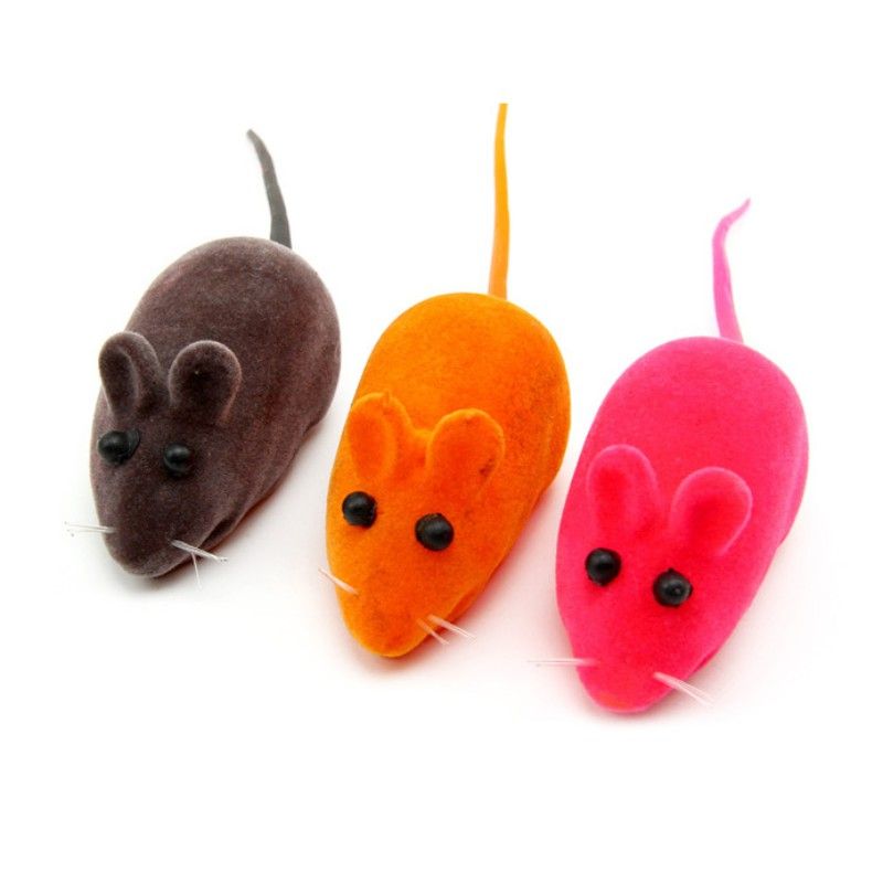 buy cat toys online