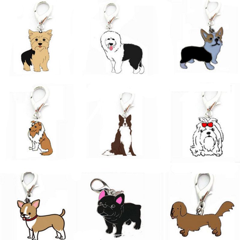 cartoon pet dog cat