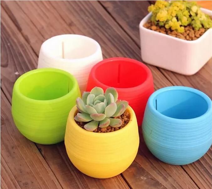 New Gardening Flower Pots Small Mini Colorful Plastic Nursery Flower